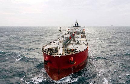 Professional Support